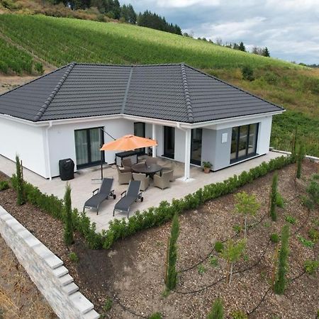 Neu - Premium-Ferienhaus Mosel-Sonne ترابن ترارباخ المظهر الخارجي الصورة