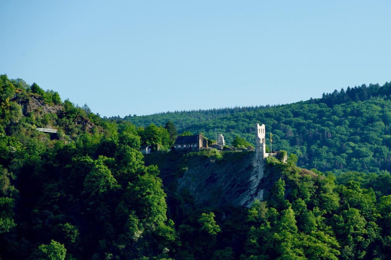 Neu - Premium-Ferienhaus Mosel-Sonne ترابن ترارباخ المظهر الخارجي الصورة