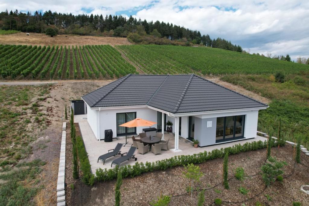 Neu - Premium-Ferienhaus Mosel-Sonne ترابن ترارباخ المظهر الخارجي الصورة