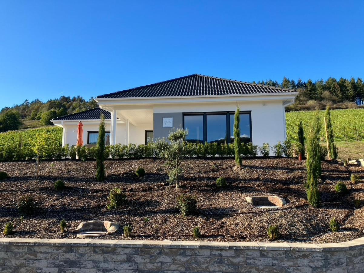 Neu - Premium-Ferienhaus Mosel-Sonne ترابن ترارباخ المظهر الخارجي الصورة