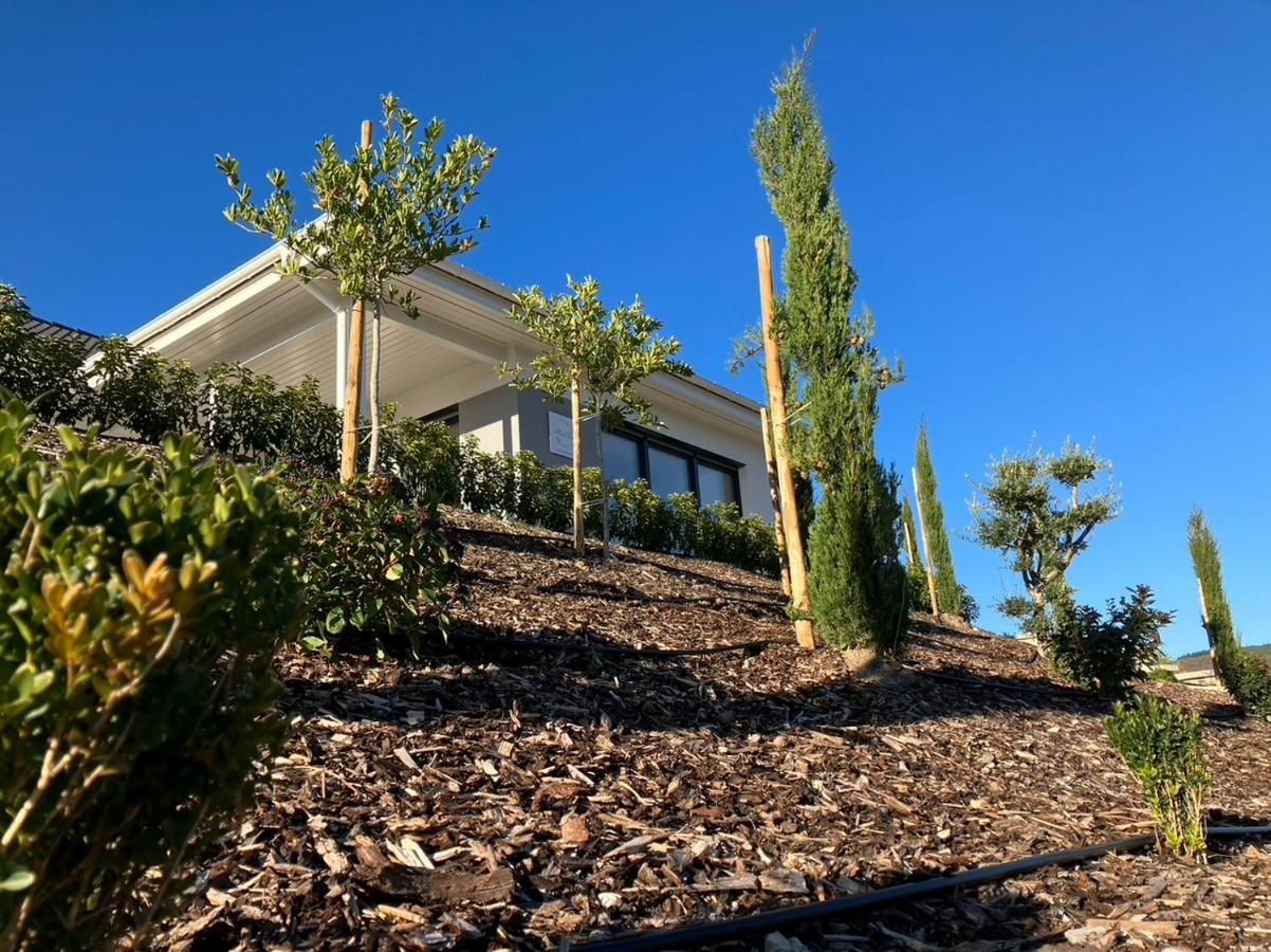 Neu - Premium-Ferienhaus Mosel-Sonne ترابن ترارباخ المظهر الخارجي الصورة